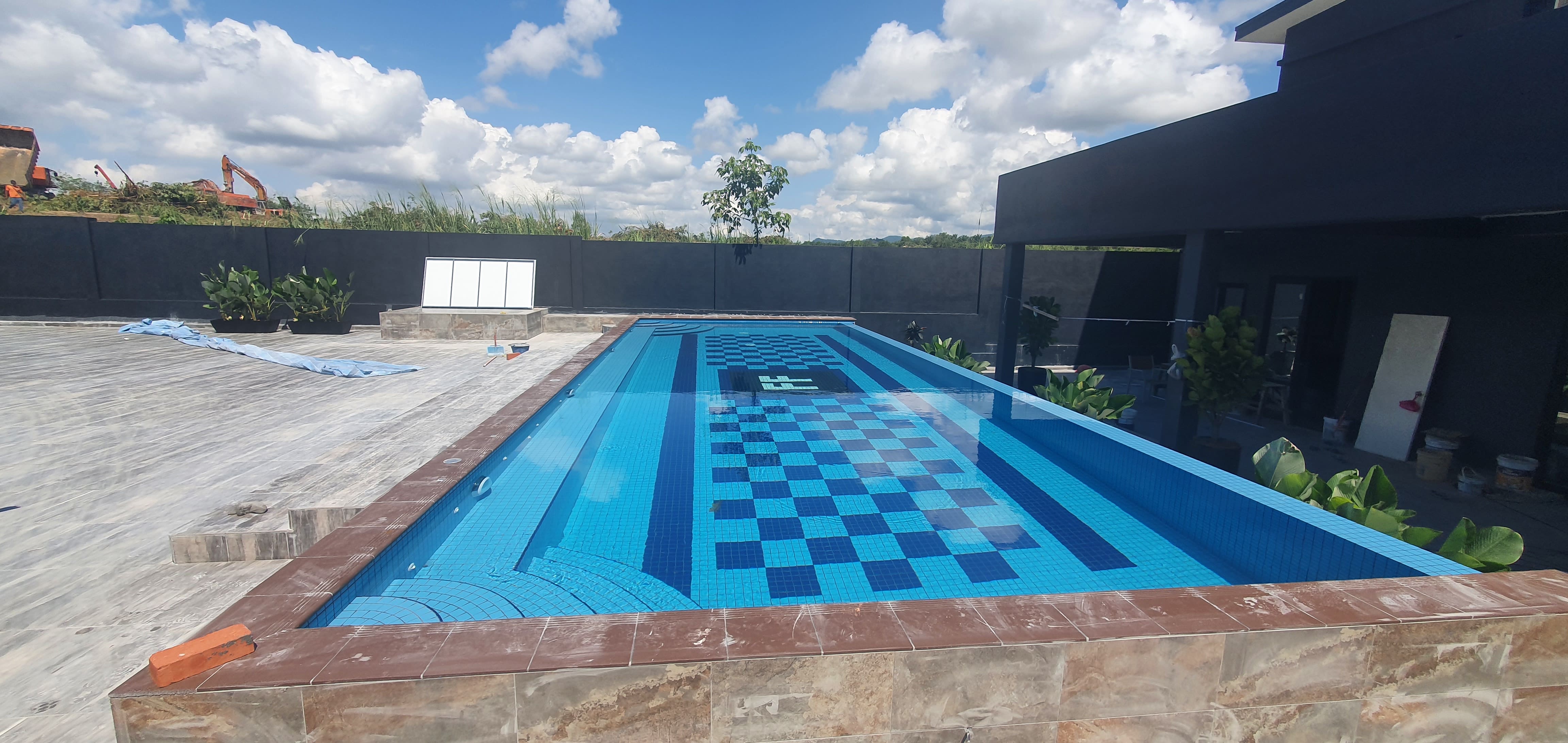 Pool Skimmer